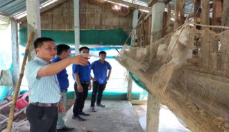 Hội LHTN Việt Nam huyện Duyên Hải: Duy trì có hiệu quả hoạt động CLB “thanh niên phát triển kinh tế”
